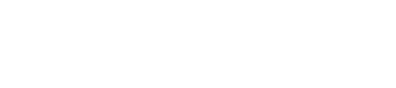 NV Broker & Associates